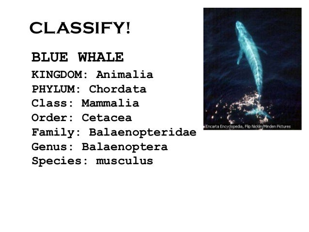 Biological sciences2