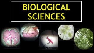 BIOLOGICAL
SCIENCES
 