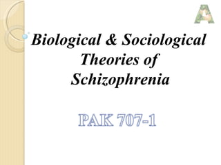 Biological & Sociological  Theories of  Schizophrenia 