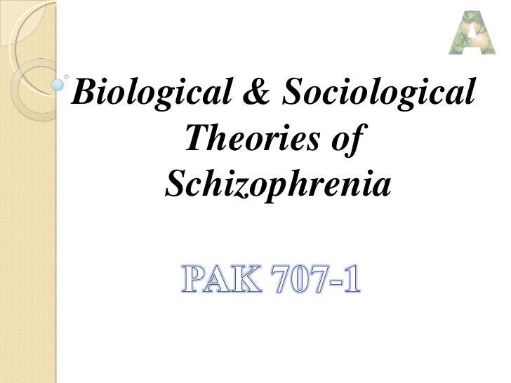 biological explanations of schizophrenia essay Research into schizophrenia shows that there is a major genetic component but the fact that concordance rates between identical twins is never 100% means that there must be environmental. biological explanations of schizophrenia essay Research into schizophrenia shows that there is a major genetic component but the fact that concordance rates between identical twins is never 100% means that there must be environmental.