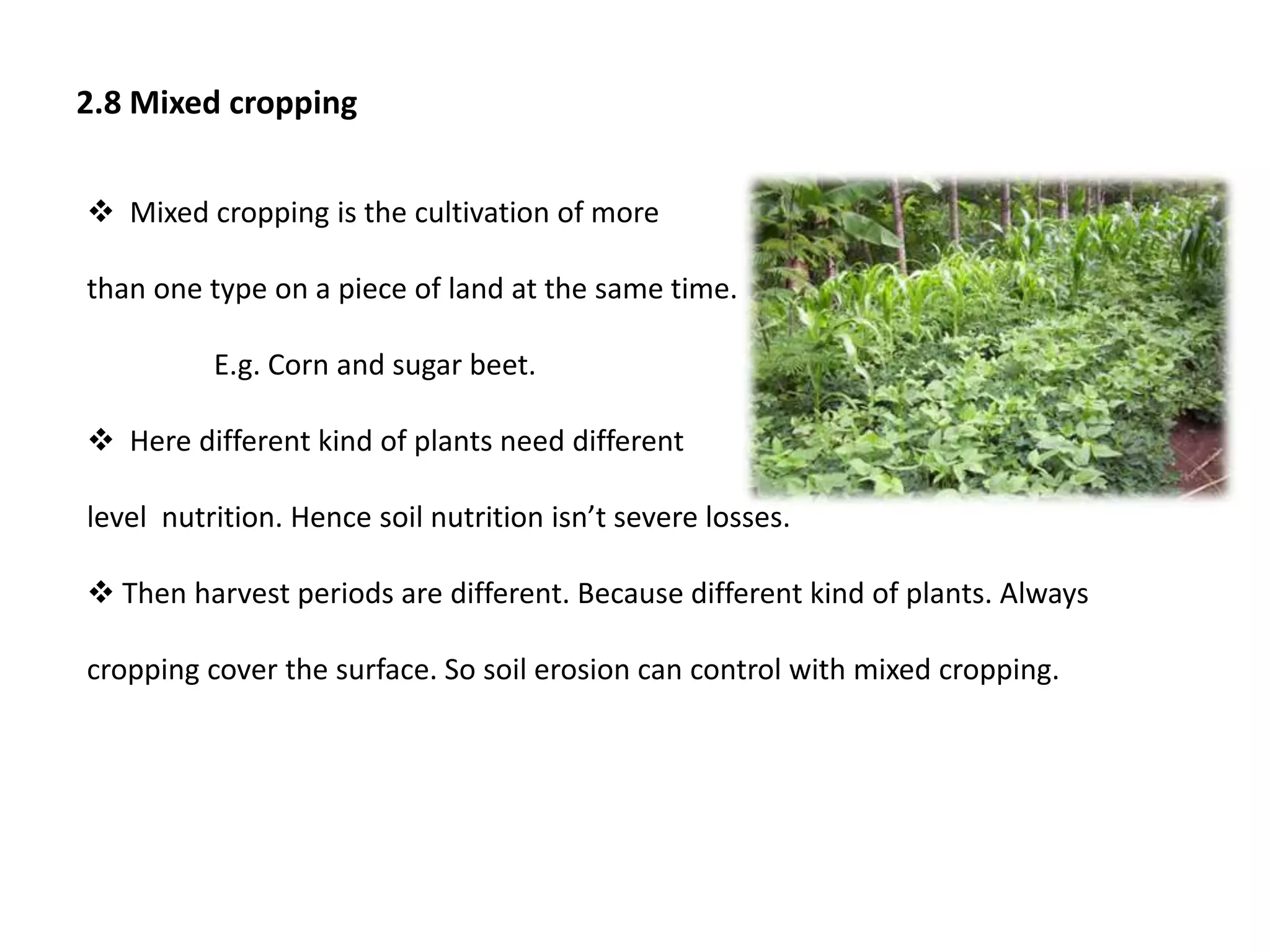 2.8 Mixed cropping
 Mixed cropping is the cultivation of more
than one type on a piece of land at the same time.
E.g. Corn and sugar beet.
 Here different kind of plants need different
level nutrition. Hence soil nutrition isn’t severe losses.
 Then harvest periods are different. Because different kind of plants. Always
cropping cover the surface. So soil erosion can control with mixed cropping.
 