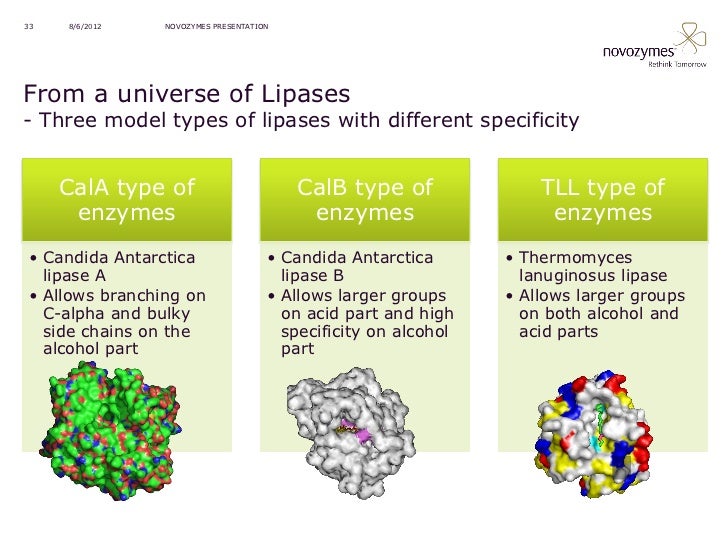 speleothem science from process to