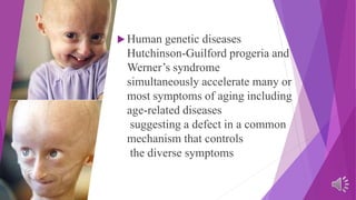 Biological theories of aging | PPTX