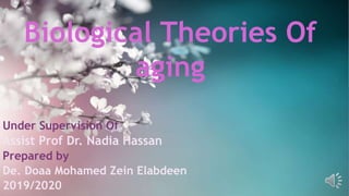 Biological Theories Of
aging
Under Supervision Of
Assist Prof Dr. Nadia Hassan
Prepared by
De. Doaa Mohamed Zein Elabdeen
2019/2020
 