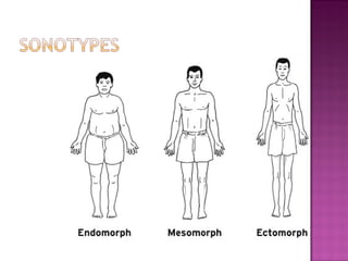 Biological Theories of Crime | PPT