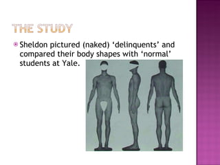 Biological Theories of Crime | PPT