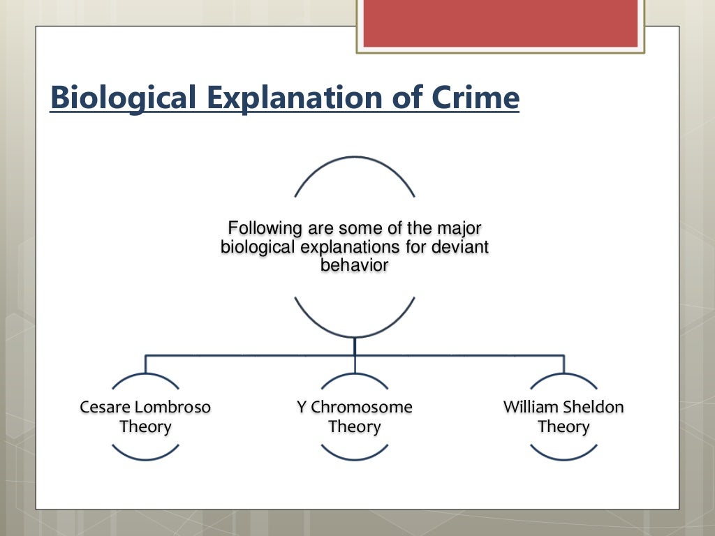 Biological theory of crime