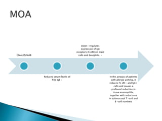 OMALIZUMAB
Reduces serum levels of
free IgE •
Down -regulates
expression of IgE
receptors (FceRI) on mast
cells and basophils. •
In the airways of patients
with allergic asthma, it
reduces Fc εRI+ and IgE+
cells and causes a
profound reduction in
tissue eosinophilia,
together with reductions
in submucosal T -cell and
B -cell numbers
 