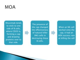 Rituximab tends
to stick to one
side of B cells,
where CD20 is,
forming a cap
and drawing
proteins over to
that side.
The presence of
the cap changed
the effectiveness
of natural killer
(NK) cells in
destroying these
B cells.
When an NK cell
latched onto the
cap, it had an
80% success rate
at killing the cell
 