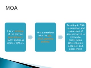 It is an inhibitor
of the enzyme
janus kinase 1
(JAK1) and janus
kinase 3 (JAK 3),
That it interferes
with the JAK-
STAT signaling
pathway.
Resulting in DNA
transcription and
expression of
genes involved in
immunity,
proliferation,
differentiation,
apoptosis and
oncogenesis
 