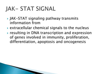  JAK-STAT signaling pathway transmits
information from
 extracellular chemical signals to the nucleus
 resulting in DNA transcription and expression
of genes involved in immunity, proliferation,
differentiation, apoptosis and oncogenesis
 