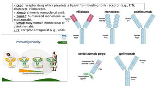 • cept: receptor drug which prevents a ligand from binding to its receptor (e.g., ETN,
abatacept, rilonacept).
• ximab: chimeric monoclonal antibody (e.g., INF, RTX).
• zumab: humanized monoclonal antibody (e.g., certolizumab, tocilizumab, ixekizumab,
eculizumab).
• umab: fully human monoclonal antibody (e.g., ADA, golimumab, belimumab,
ustekinumab).
• ra: receptor antagonist (e.g., anakinra).
 