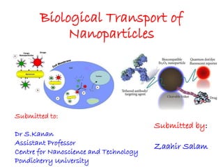 Biological Transport of
Nanoparticles

Submitted to:
Dr S.Kanan
Assistant Professor
Centre for Nanoscience and Technology
Pondicherry University

Submitted by:
Zaahir Salam

 