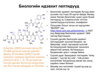 Биологийн идэвхит пептидүүд
• Биологийн идэвхит пептидийн бүтцэд амин
хүчлийн тоо 3-аас 50 хүртэл байдаг бөгөөд
жижиг боловч биологийн чухал үүрэг бүхий
пептидүүд нь 3 аминхүчлээс тогтсон
трипептидүүд-глутатион, енкефалин
• Польшийн Ольшт хотын их сургуулийн
“BIOPEP” сан
(http://www.uwm.edu.pl/biochemia/ - д 2007
оны байдлаар биологийн идэвхит 1969
пептид бүртгэгджээ.
• Сүүний уургийн биологийн идэвхит
пептидүүдийг хүнсний бэлдмэл, эм
байдлаар, эсвэл тэдгээрээр хүнсний
бүтээгдэхүүнийг баяжуулах технологи
амжилттай хөгжиж, бүтээгдэхүүн,
бэлдмэлийн эрэлт ч өндөр байна.
• Сүүний уураг, биоидэвхит пептидийн “whey
powder”, “non-fat dry milk”, “milk protein
concentrate” бэлдмэлүүд манай зах зээлд
хэдийнэ танил болжээ.
• Манайд энэ чиглэлийн түүхий эд-шар ус,
пахт, тосгүй сүү г.м
Ц.Батсүх (2005) ингэний сүүнд 29-
33 кДА молекул жинтэй уургийн
фракц, Ж.Алимаа (2002) гүүний
хатаасан сааманд дархлааг дэмжих
үйлчлэлтэй IL-1, IL-18 цитокинтой
төстэй уургийн бүлэглэл илрүүлсэн,
энэ бол манай ирээдүйн их боломж
 