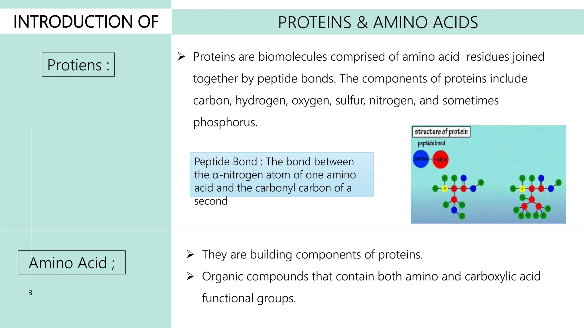 Biological Values And Estimation Of Proteins, Essential Amino Acids And ...