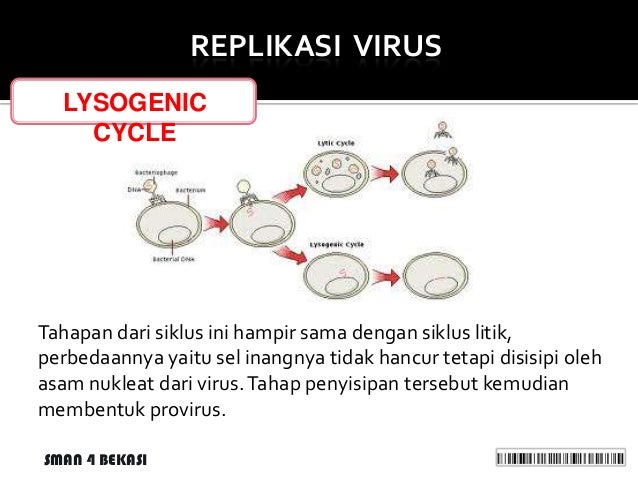 Materi biologi Virus  ppt presentation