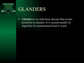 GLANDERS
 Glanders is an infectious disease that occurs
   primarily in animals. It is caused usually by
   ingestion of contaminated food or water.
 