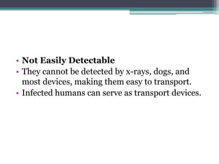 • Not Easily Detectable
• They cannot be detected by x-rays, dogs, and
  most devices, making them easy to transport.
• Infected humans can serve as transport devices.
 