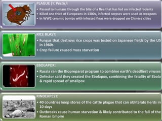 PLAGUE (Y. Pestis):
• Passed to humans through the bite of a flea that has fed on infected rodents
• Killed one third of Europeans in 1300s, infected corpses were used as weapons
• In WW2 ceramic bombs with infected fleas were dropped on Chinese cities
RICE BLAST:
• Fungus that destroys rice crops was tested on Japanese fields by the US
in 1960s
• Crop failure caused mass starvation
EBOLAPOX:
• Russia ran the Biopreparat program to combine earth’s deadliest viruses
• Defector said they created the Ebolapox, combining the fatality of Ebola
& rapid spread of smallpox
RINDERPEST:
• 40 countries keep stores of the cattle plague that can obliterate herds in
10 days
• Outbreaks cause human starvation & likely contributed to the fall of the
Roman Empire
 