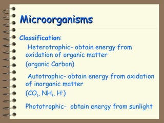 MMiiccrroooorrggaanniissmmss 
Classification: 
 Heterotrophic- obtain energy from 
oxidation of organic matter 
(organic Carbon) 
 Autotrophic- obtain energy from oxidation 
of inorganic matter 
(CO2, NH4, H+ ) 
 Phototrophic- obtain energy from sunlight 
 