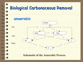BBiioollooggiiccaall CCaarrbboonnaacceeoouuss RReemmoovvaall 
 anaerobic 
100% 
20% 5% 
60% 15% 
15% 
35% 17% 10% 13% 
72% 28% 
Schematic of the Anaerobic Process 
Hydrolysis 
Acidogenesis 
Methenogenesis 
Complex Organics 
Intermediates Propionate 
H 2 Acetate 
CH 4 
 