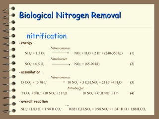 BBiioollooggiiccaall NNiittrrooggeenn RReemmoovvaall 
 nitrification 
-energy 
Nitrosomonas 
NH4 
+ + 1.5 O2 NO2 
- + H2O + 2 H+ + (240-350 kJ) (1) 
Nitrobacter 
NO2 
- + 0.5 O2 NO3 
- + (65-90 kJ) (2) 
-assimilation 
Nitrosomonas 
15 CO2 + 13 NH4 
+ 10 NO2 
- + 3 C5H7NO2 + 23 H+ +4 H2O (3) 
Nitrobacter 
5 CO2 + NH4 
+ +10 NO2 
- +2 H2O 10 NO3 
- + C5H7NO2 + H+ (4) 
- overall reaction 
NH4 
+ +1.83 O2 + 1.98 H CO3 
- 0.021 C5H7NO2 + 0.98 NO3 
- + 1.04 1H2O + 1.88H2CO3 
 