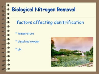 BBiioollooggiiccaall NNiittrrooggeenn RReemmoovvaall 
 factors affecting denitrification 
* temperature 
* dissolved oxygen 
* pH 
 