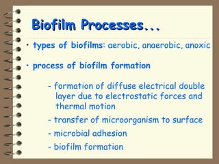 BBiiooffiillmm PPrroocceesssseess...... 
• types of biofilms: aerobic, anaerobic, anoxic 
• process of biofilm formation 
- formation of diffuse electrical double 
layer due to electrostatic forces and 
thermal motion 
- transfer of microorganism to surface 
- microbial adhesion 
- biofilm formation 
 