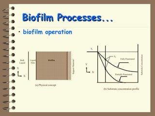BBiiooffiillmm PPrroocceesssseess...... 
• biofilm operation 
X 
Y 
Liquid Biofilm 
Film 
Bulk 
Liquid 
Support Material 
(a) Physical concept 
Fully Penetrated 
SS 
Partially Penetrated 
Sb 
Substrate Concentration 
X 
Y 
(b) Substrate concentration profile 
 