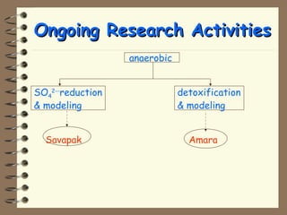 OOnnggooiinngg RReesseeaarrcchh AAccttiivviittiieess 
anaerobic 
SO4 
2--reduction detoxification 
 modeling  modeling 
Savapak Amara 
 