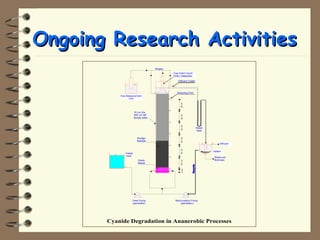 OOnnggooiinngg RReesseeaarrcchh AAccttiivviittiieess 
Gas Solid Liquid 
(GSL) Separator 
Effluent Outlet 
Feed Pump 
(peristaltic) 
Sampling Port 
Recirculation Pump 
(peristaltic) 
U Water 
Seal 
Biogas 
Gas Measurement 
Unit 
10 cm dia. 
300 cm tall 
Acrylic tube 
Effluent 
Settler 
Wash-out 
Biomass 
Sludge 
Blanket 
Glass 
Beeds 
Feeds 
Tank 
Cyanide Degradation in Ananerobic Processes 
 