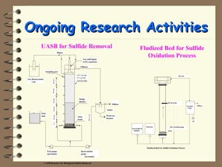 OOnnggooiinngg RReesseeaarrcchh AAccttiivviittiieess 
Gas solid liquid 
(GSL) separator 
Effluent 
Sludge 
blanket 
UASB Reactor For Biological Sulfate Removal 
Effluen 
Settler 
Wash-out 
biomass 
Feed 
tank 
Recycle 
10.3 cm dia. 
9.3 cm tall 
Acrylic tube 
Biogas 
Gas Measurement 
Unit 
Sampling port 
10 cm 10 cm 10 cm 10 cm 10 cm 
Glass 
beads 
Feed pump 
(peristaltic) 
Recirculation 
pump 
(peristaltic) 
8.5 
Fludized Bed for Sulfide 
Oxidation Process 
HCl (NaOH)-pump 
Fluidized Bed For Sulfide Oxidation Process 
Na2S/NaHCO3 
Solution 
Nutrients 
Aeration 
Tank 
Sand 
Air 
Effluen 
t 
pH electrode 
Recycle 
UASB for Sulfide Removal 
 