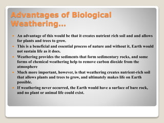 Advantages of Biological
Weathering…
 An advantage of this would be that it creates nutrient rich soil and and allows
for plants and trees to grow.
 This is a beneficial and essential process of nature and without it, Earth would
not sustain life as it does.
 Weathering provides the sediments that form sedimentary rocks, and some
forms of chemical weathering help to remove carbon dioxide from the
atmosphere
 Much more important, however, is that weathering creates nutrient-rich soil
that allows plants and trees to grow, and ultimately makes life on Earth
possible.
 If weathering never occurred, the Earth would have a surface of bare rock,
and no plant or animal life could exist.
 