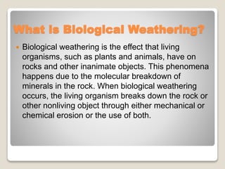 What is Biological Weathering?
 Biological weathering is the effect that living
organisms, such as plants and animals, have on
rocks and other inanimate objects. This phenomena
happens due to the molecular breakdown of
minerals in the rock. When biological weathering
occurs, the living organism breaks down the rock or
other nonliving object through either mechanical or
chemical erosion or the use of both.
 
