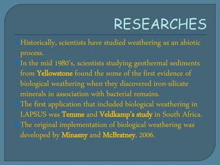 Historically, scientists have studied weathering as an abiotic
process.
In the mid 1980’s, scientists studying geothermal sediments
from Yellowstone found the some of the first evidence of
biological weathering when they discovered iron-silicate
minerals in association with bacterial remains.
The first application that included biological weathering in
LAPSUS was Temme and Veldkamp’s study in South Africa.
The original implementation of biological weathering was
developed by Minasny and McBratney, 2006.
 
