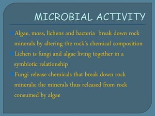 Algae, moss, lichens and bacteria break down rock
minerals by altering the rock’s chemical composition
Lichen is fungi and algae living together in a
symbiotic relationship
Fungi release chemicals that break down rock
minerals; the minerals thus released from rock
consumed by algae
 