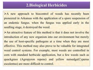 2.Biological Herbicides
A new approach to biocontrol of weeds has recently been
pioneered in Arkansas with the application of a spore suspension of
an endemic fungus. when the fungus was applied early in the
seedling stage, it destroyed the weed.
An attractive feature of this method is that it does not involve the
introduction of any new organism into our environment but merely
the use of host-specific pathogens at a time when they are most
effective. This method may also prove to be valuable for integrated
weed control systems. For example, most weeds are controlled in
corn with standard herbicide application, but a few weeds such as
quackgrass (Agropyron repens) and yellow nutsedge(Cyperus
esculentus) are more difficult to control.
 