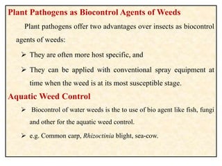 Plant Pathogens as Biocontrol Agents of Weeds
Plant pathogens offer two advantages over insects as biocontrol
agents of weeds:
 They are often more host specific, and
 They can be applied with conventional spray equipment at
time when the weed is at its most susceptible stage.
Aquatic Weed Control
 Biocontrol of water weeds is the to use of bio agent like fish, fungi
and other for the aquatic weed control.
 e.g. Common carp, Rhizoctinia blight, sea-cow.
 