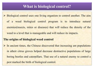 What is biological control?
 Biological control uses one living organism to control another. The aim
of a weed biological control program is to introduce natural
enemies(insects, mites or diseases) that will reduce the density of the
weed to a level that is manageable and will reduce its impacts.
The origins of biological weed control
 In ancient times, the Chinese discovered that increasing ant populations
in atheir citrus groves helped decrease destructive populations of large
boring beetles and caterpillars. That use of a natural enemy to control a
pest marked the birth of biological control.
 