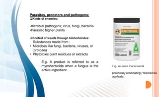 Biological weed management | PPTX