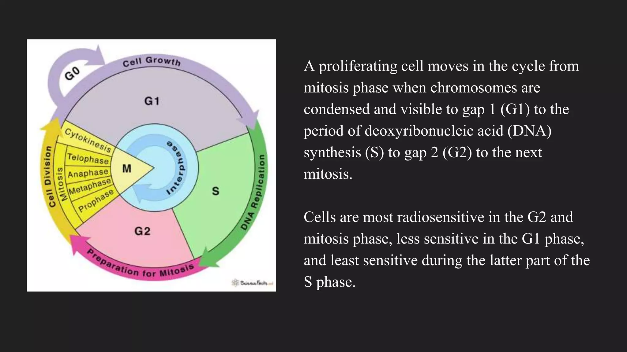 A proliferating cell moves in the cycle from
mitosis phase when chromosomes are
condensed and visible to gap 1 (G1) to the
period of deoxyribonucleic acid (DNA)
synthesis (S) to gap 2 (G2) to the next
mitosis.
Cells are most radiosensitive in the G2 and
mitosis phase, less sensitive in the G1 phase,
and least sensitive during the latter part of the
S phase.
 