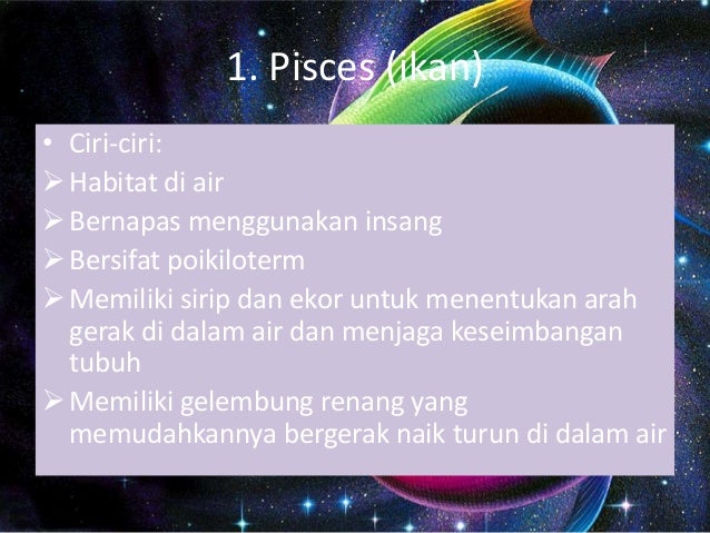Biologi chordataa Biologi chordataa
