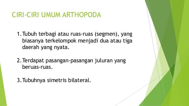 Biologi dan  ciri arthropoda