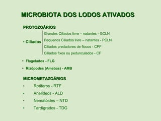 MICROBIOTA DOS LODOS ATIVADOS
PROTOZOÁRIOS
             Grandes Ciliados livre – natantes - GCLN

▪ Ciliados Pequenos Ciliados livre – natantes - PCLN
             Ciliados predadores de flocos - CPF
             Ciliados fixos ou pedunculados - CF

▪  Flagelados - FLG
▪ Rizópodes (Amebas) - AMB

MICROMETAZOÁRIOS
▪         Rotíferos - RTF
▪         Anelídeos - ALD
▪         Nematóides – NTD
▪         Tardígrados - TDG
 
