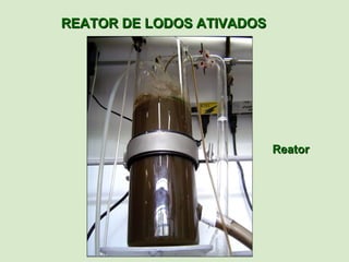 REATOR DE LODOS ATIVADOS




                           Reator
 