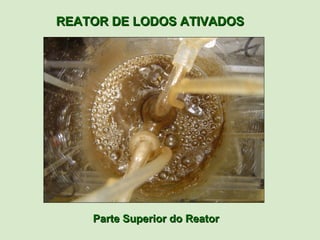REATOR DE LODOS ATIVADOS




    Parte Superior do Reator
 