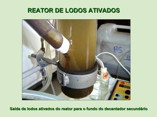 REATOR DE LODOS ATIVADOS




Saída de lodos ativados do reator para o fundo do decantador secundário
 