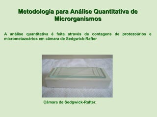 Metodologia para Análise Quantitativa de
                 Microrganismos

A análise quantitativa é feita através de contagens de protozoários e
micrometazoários em câmara de Sedgwick-Rafter




                  Câmara de Sedgwick-Rafter.
 