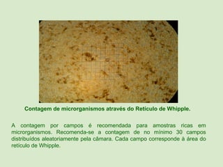 Contagem de microrganismos através do Retículo de Whipple.


A contagem por campos é recomendada para amostras ricas em
microrganismos. Recomenda-se a contagem de no mínimo 30 campos
distribuídos aleatoriamente pela câmara. Cada campo corresponde à área do
retículo de Whipple.
 