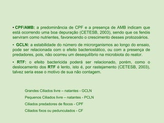 ▪ CPF/AMB: a predominância de CPF e a presença de AMB indicam que
está ocorrendo uma boa depuração (CETESB, 2003), sendo que os fenóis
serviram como nutrientes, favorecendo o crescimento desses protozoários.
▪  GCLN: a estabilidade do número de microrganismos ao longo do ensaio,
pode ser relacionada com o efeito bacteriostático, ou com a presença de
predadores, pois, não ocorreu um desequilíbrio na microbiota do reator.
▪ RTF: o efeito bactericida poderá ser relacionado, porém, como o
deslocamento dos RTF é lento, isto é, por rastejamento (CETESB, 2003),
talvez seria esse o motivo de sua não contagem.



      Grandes Ciliados livre – natantes - GCLN
      Pequenos Ciliados livre – natantes - PCLN
      Ciliados predadores de flocos - CPF
      Ciliados fixos ou pedunculados - CF
 